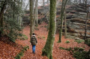 Autumn Adventures: A Guide to Fall Hiking