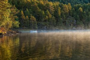 Fall Foliage by Boat: A Unique Perspective